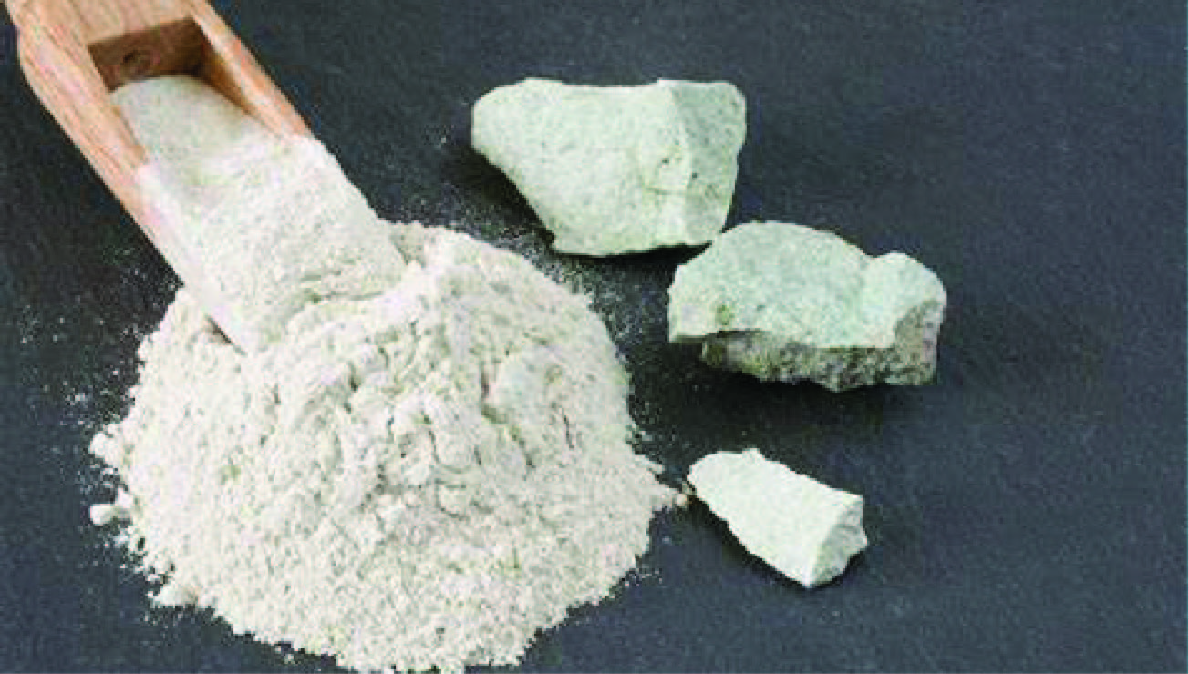 Coated Micronized Calcium Carbonate Powders